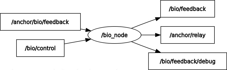 rqt_graph of Bio node running by itself